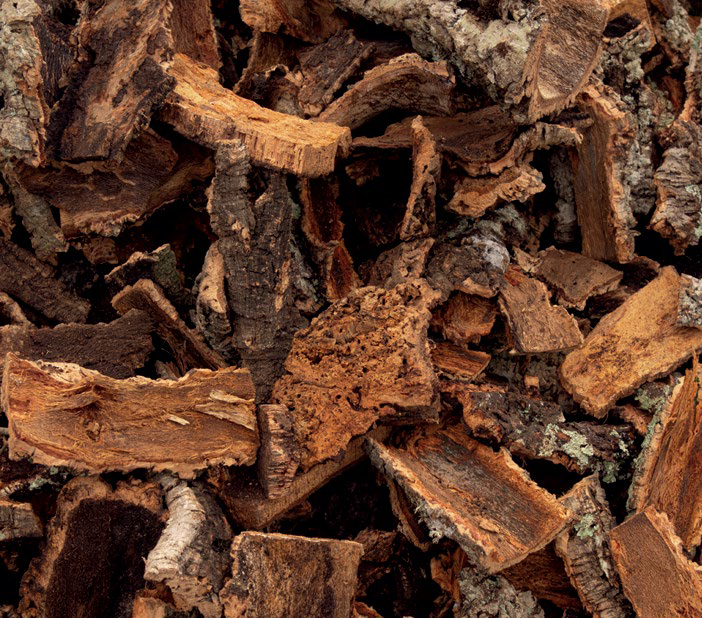 Mantar kabuğu (Cork bark)