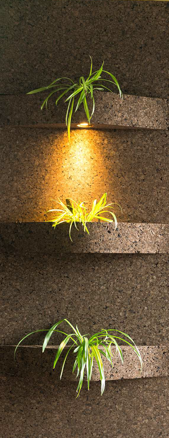 Corkwave — uygulama örneği